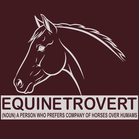 Equinetrovert
