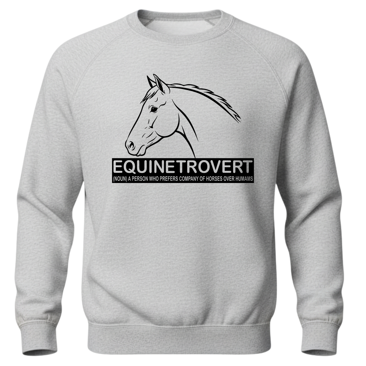 Equinetrovert