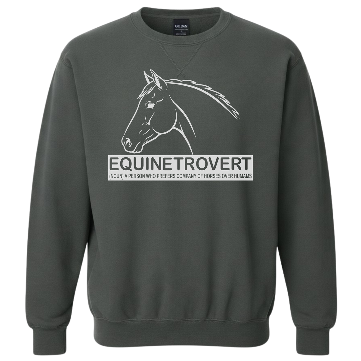 Equinetrovert