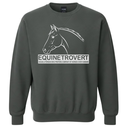 Equinetrovert