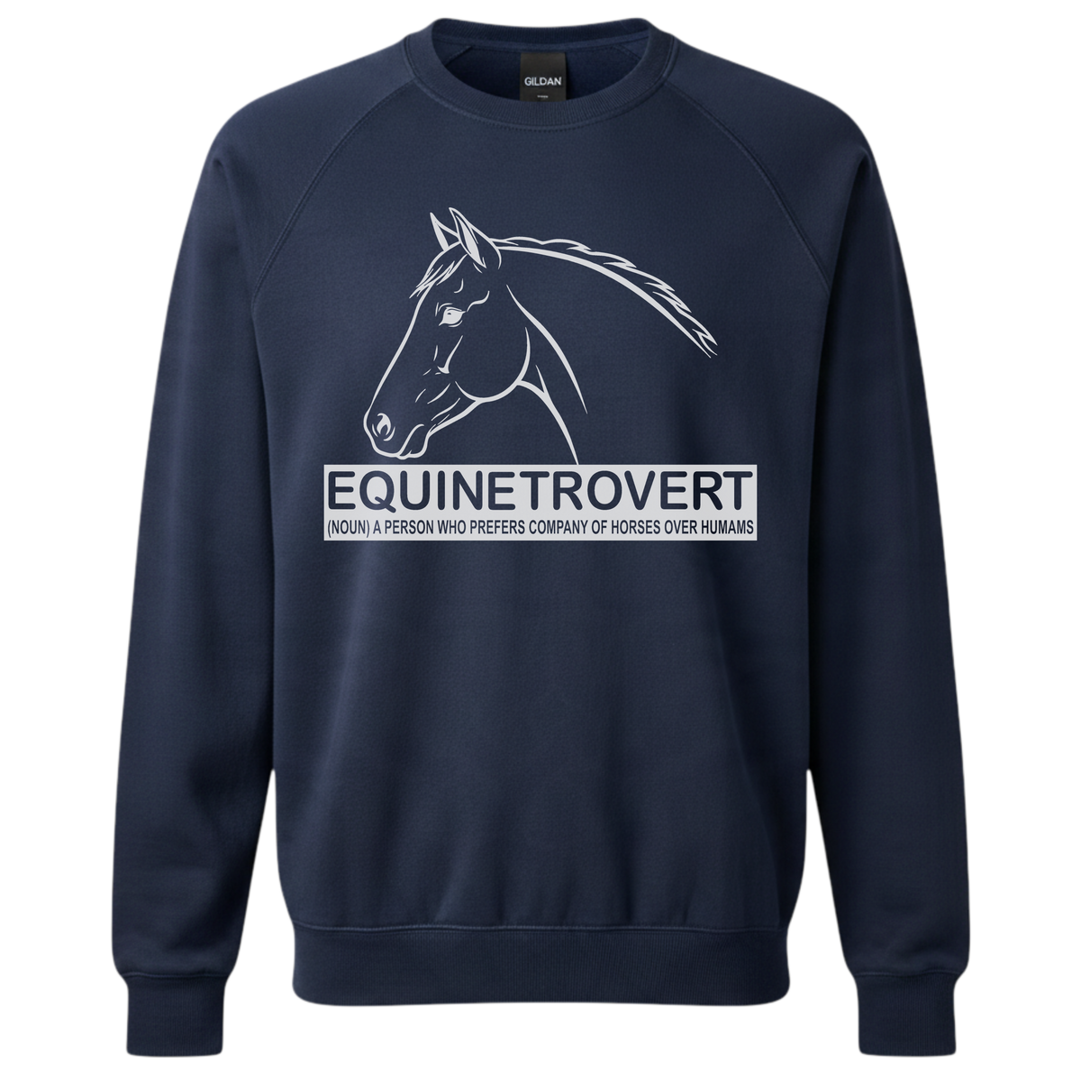 Equinetrovert