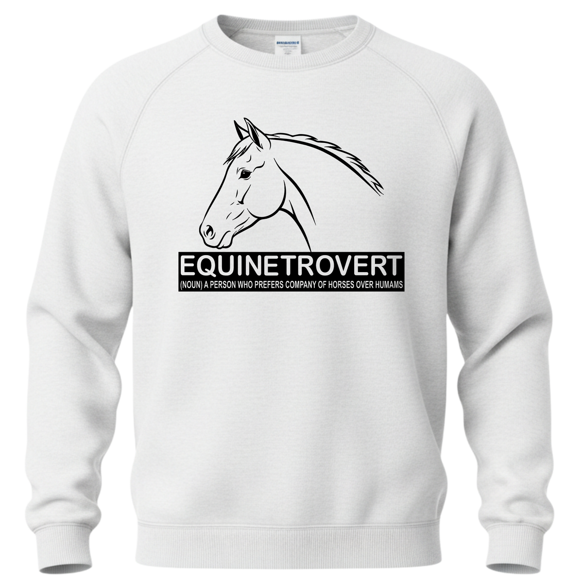 Equinetrovert