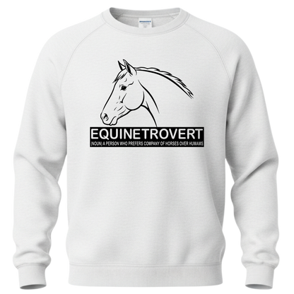 Equinetrovert